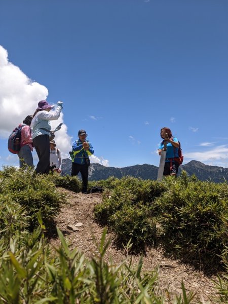 合歡山群峰（南峰、石門山、尖山、東峰）2626841