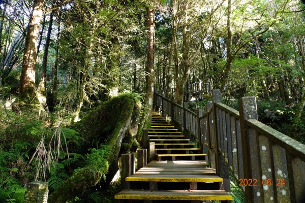 宜蘭 大同 太平山森林遊樂區1743642