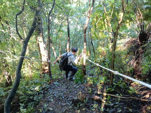 雙溪區雙坪一號橋+盤山坑山+土地公山+474峰+石硿子越嶺古道O型2936402