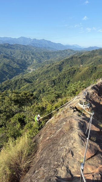 岩壁上的花、艷紅鹿子百合（12868990