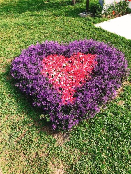 2018台中花博豐原葫蘆墩公園465505