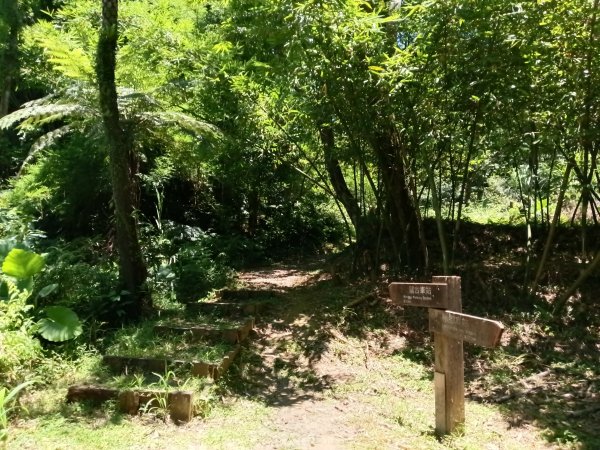 平溪區嶺腳步道+望古坑保甲路+嶺腳寮山+望古賞瀑步道(瀑布)+望古坑古道2825915