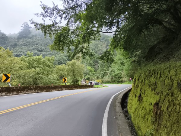 [玉山尋寶任務-08/12] 2025_0824 鹿林山步道_鹿林山2870792