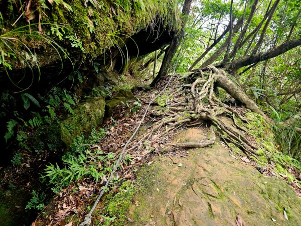 (五分山系)菁桐煤礦-2025微笑山線大縱走尋寶集章任務2855326