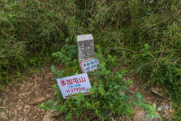 [百岳]南湖群峰3133428
