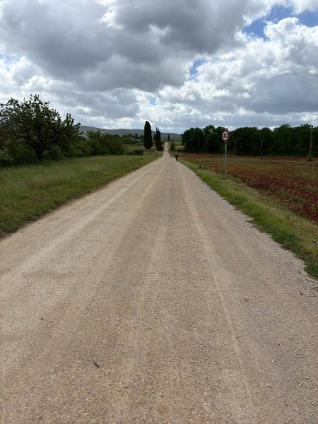 Via Francigena D2: Colle di Val d’Elsa-Monteriggio3072733