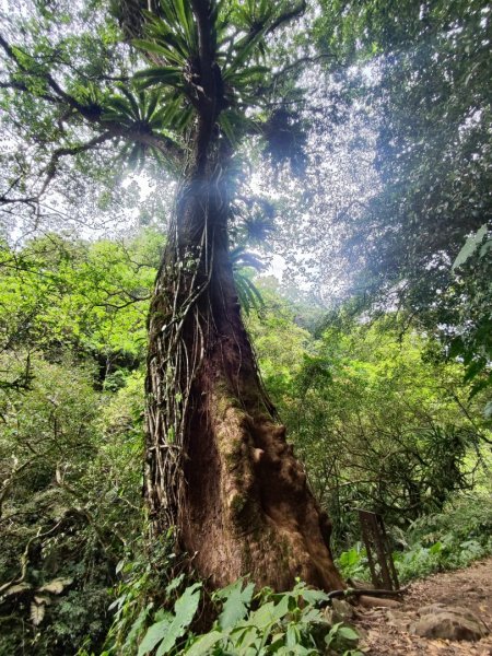 馬胎南坪古道2764744