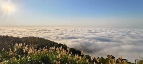 #觀音山 #雲海 #夕陽 #天空之城 #大赤鼯鼠（飛鼠） 2/132999442