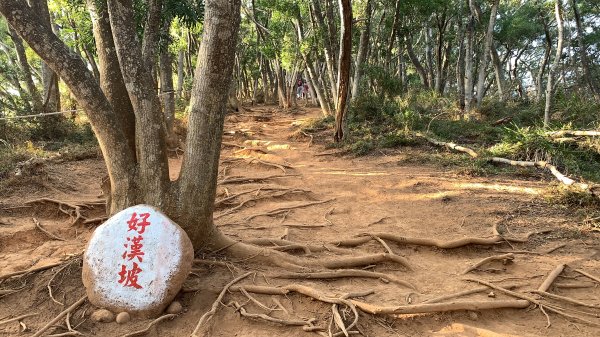 【小百岳】火炎山，美麗的夕照1644878