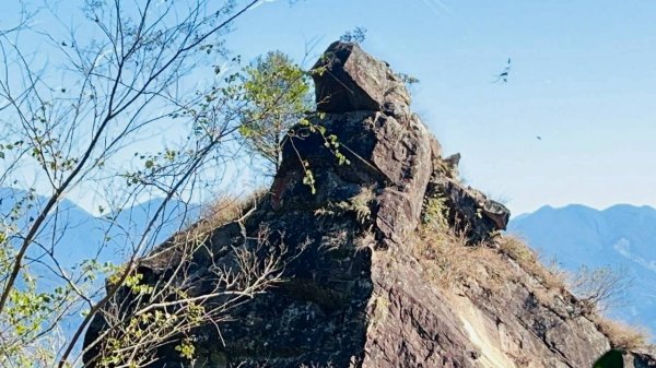 🌈1/4(日)來趣梅嶺~竹子尖山-獵鷹尖-一線天~梅子雞風味餐✨FB：熊熊趴爬走🌈2976843