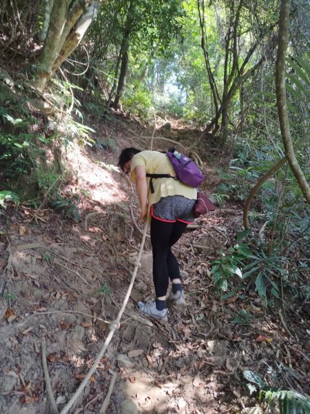 2022-10-01赤科山-赤科山南峰-東獅頭山0型縱走1867580