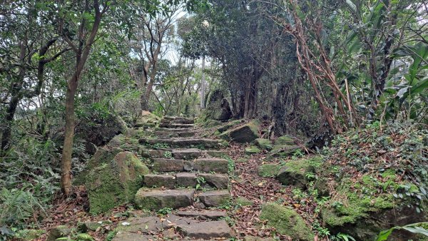 20240308汐止大尖山步道-四分尾山-耳空龜山2448635