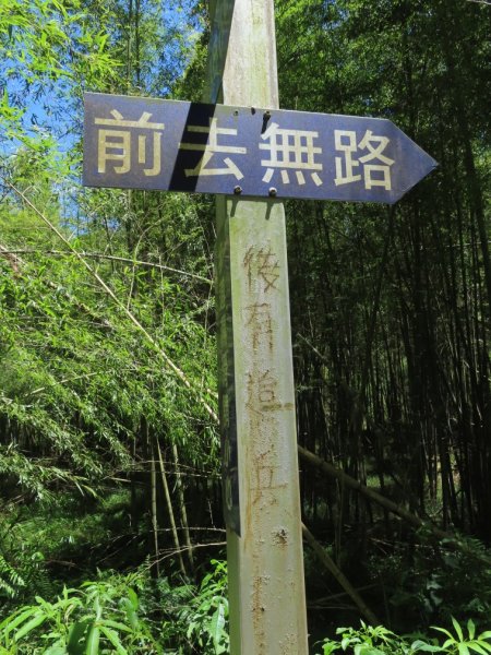 小半天孟宗竹林古戰場+長源圳生態步道Ｏ形2877857