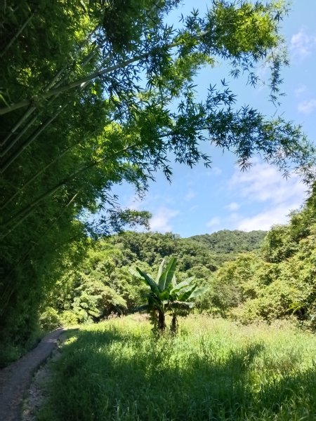 貢寮區文秀坑古道+觀日嶺步道O型2809178