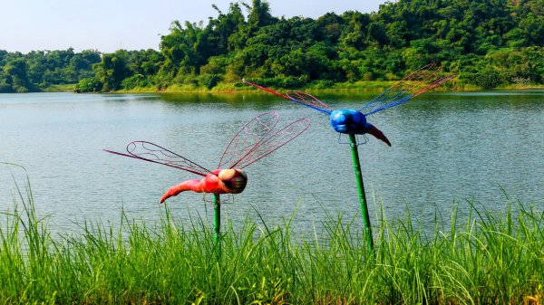 大社觀音山湖2954903
