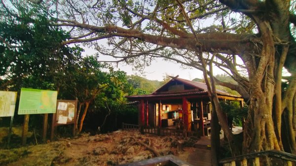 柴山夜爬看夕陽2993434