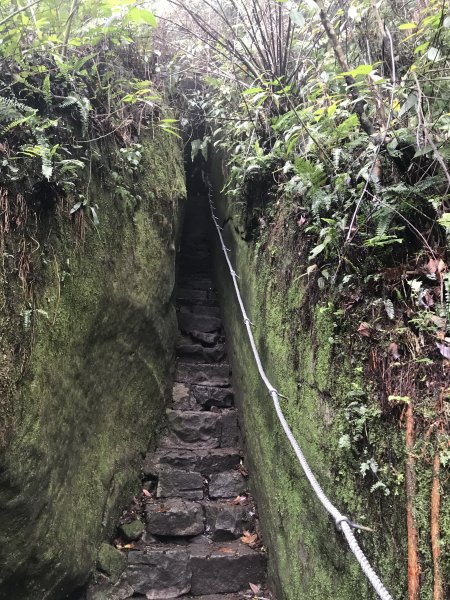 上坪山經五指山由大隘山下觀音寺1291282