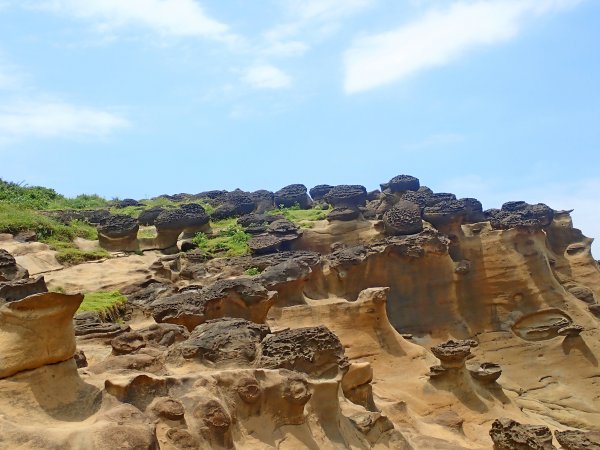 深澳岬角象鼻岩悠遊2019/7/24636573