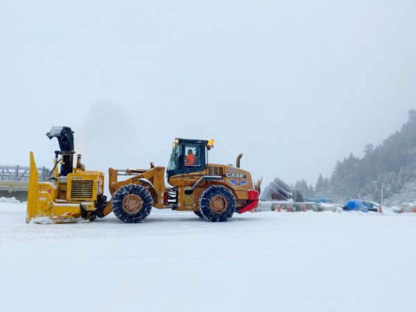 合歡銀白北國風情追雪趣 20211111235468