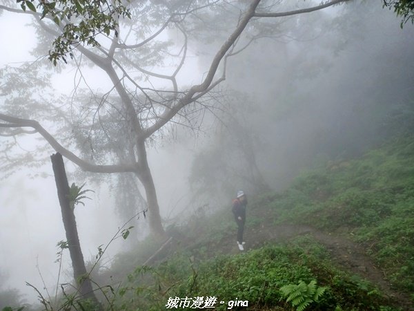【台南。 楠西】滿滿的雲海太驚豔。 小百岳集起來。 編號67小百岳~竹子尖山步道1605922