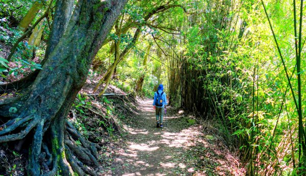 紅壇上紗帽山,花卉中心3016463