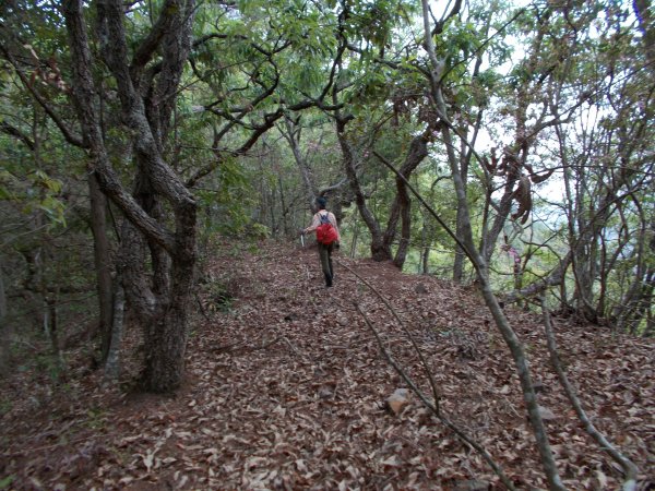 東閂岡山﹑梅松山﹑真巴烈山﹑麻加拉路山﹑摩里克安山1357358