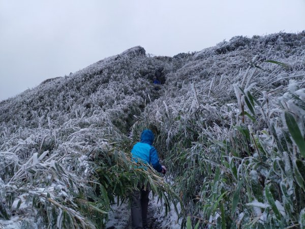 真假！七星山下雪1235071