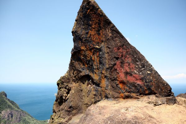 茶壺-半屏-燦光寮 早春286271