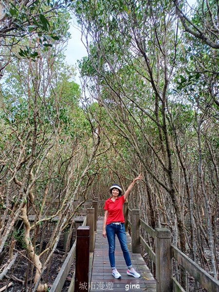 【新竹新豐】台灣唯一建有觀賞步道的生態保護區。 新豐紅樹林生態保護區2381805