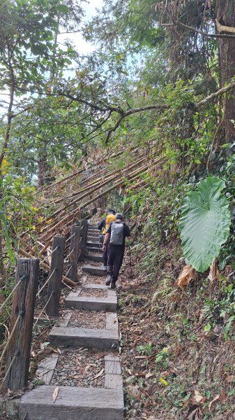 雲嘉大尖山(挑筍古道上)11502093045220