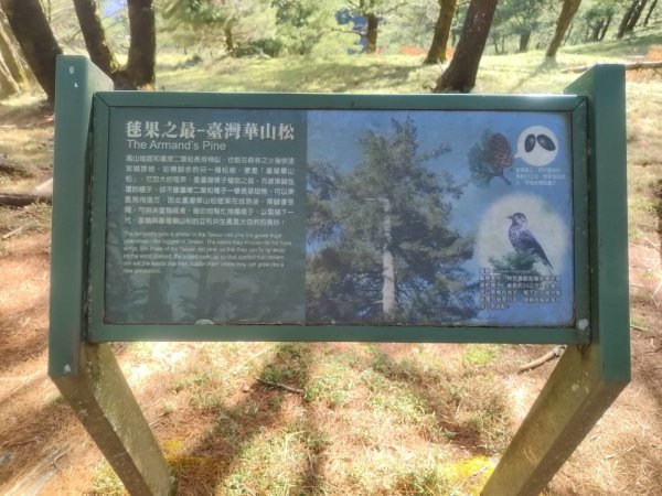 1141116麟趾山3098297