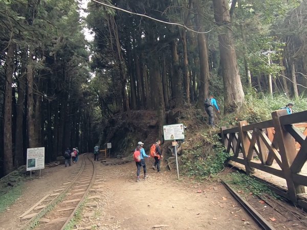 大塔山、對高岳、小笠原 O型環線1195235