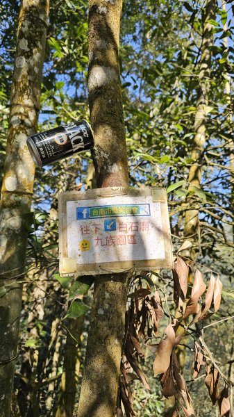 【中級山經典：水社大山、水社主峰】🥾4小時53分的征途，汗水與意志的考驗。2982588