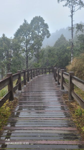 2025-0222 翠峰湖環山步道2718622