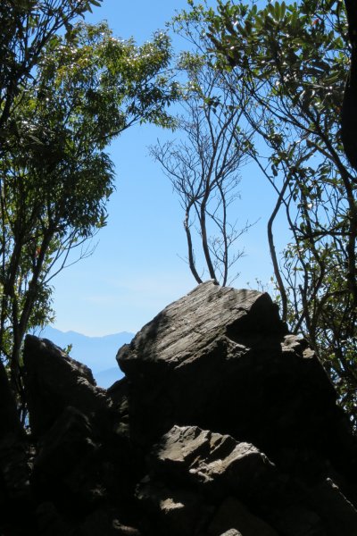 《台中》愛上山｜初登鳶嘴山2016121412074