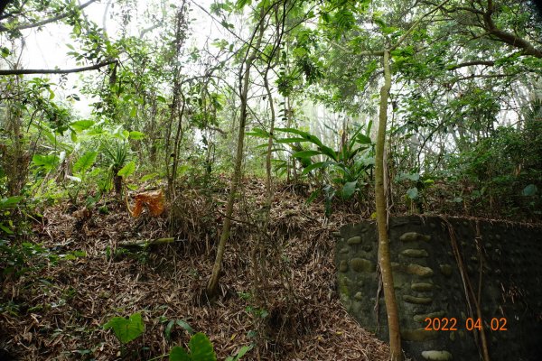 臺南 龍崎 烏山頭山(龍船窩山)1663626