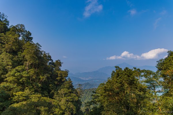 日月潭最高峰-水社大山3025304