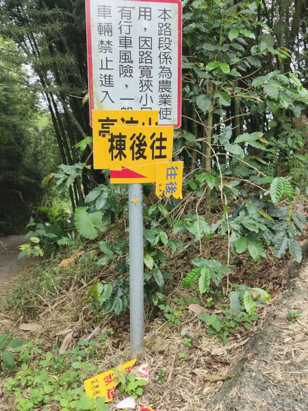 挑筍古道2372257