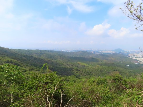 壽山尋「槍」記