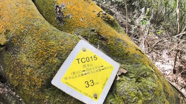 20250421_阿白縱走2774479