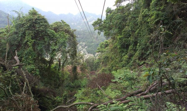蓬萊仙島_石牛山_油井窩山O型201404301959949