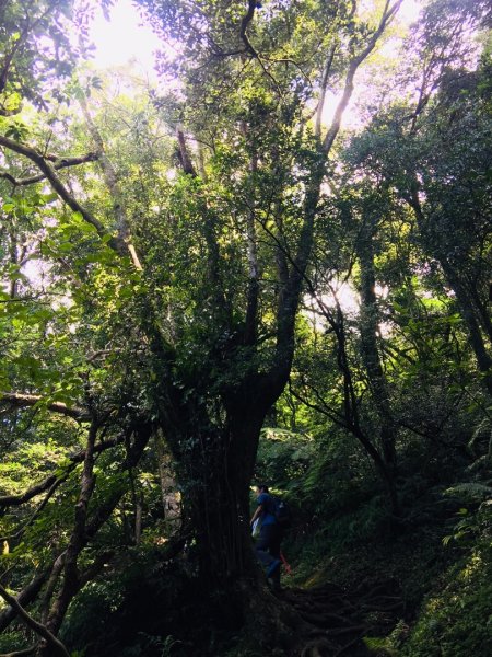 大屯群峰（北南峰）1070760