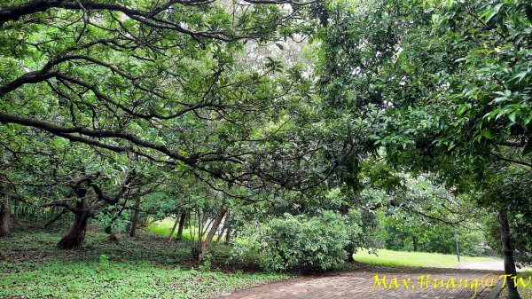 《台中》雙園連走｜東大公園連走都會公園202310072305970