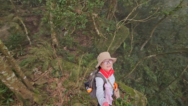 馬武督山西南峰+馬武督山O型走3012854