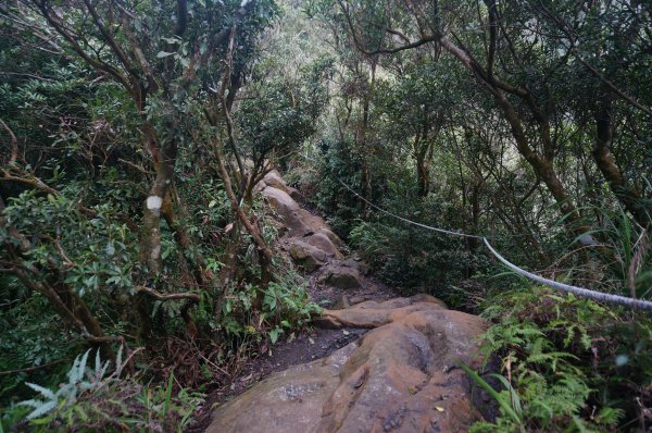 二格山登山步道1911671