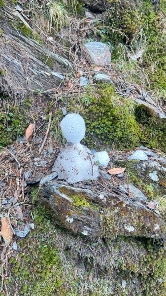 東埔-排雲-玉山西峰-玉山主峰2753183