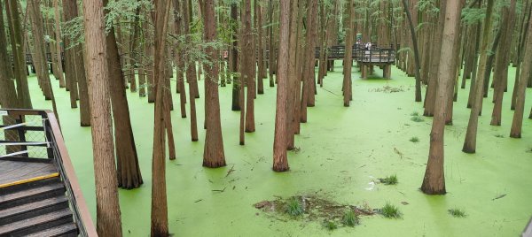 青山湖3089597