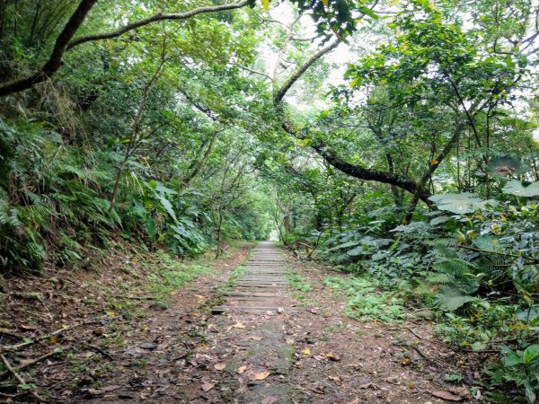 新店小獅山訪11座涼亭縱走待老坑山尋山頭902182