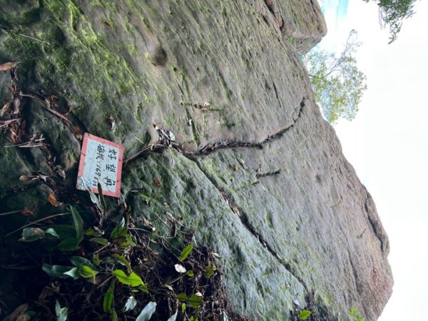嘉南雲峰-好望角、石壁山步道O型1740400