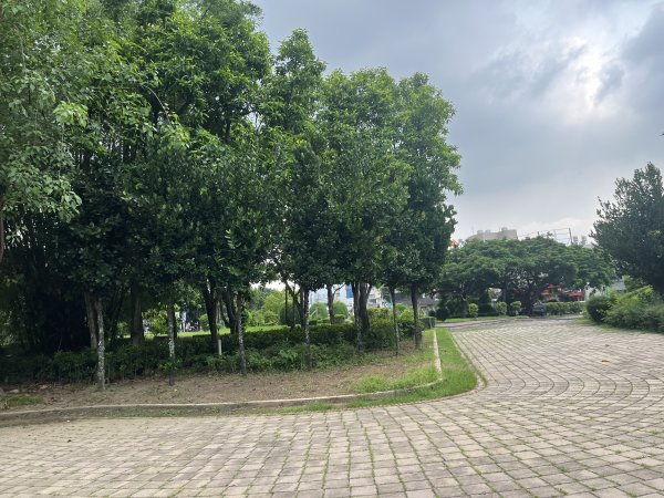 [全臺走路趣尋寶-41/100] 2024_0901_嘉義二二八紀念公園步道2586992